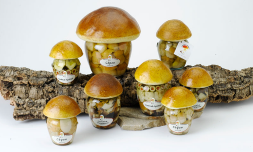 Exposants Rotary (39)