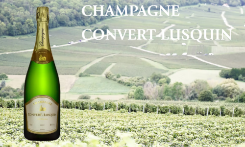 Exposants Rotary (48)