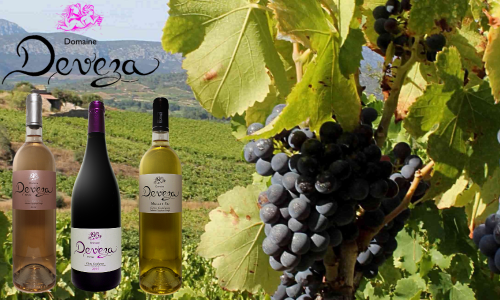 Exposants Rotary (63)