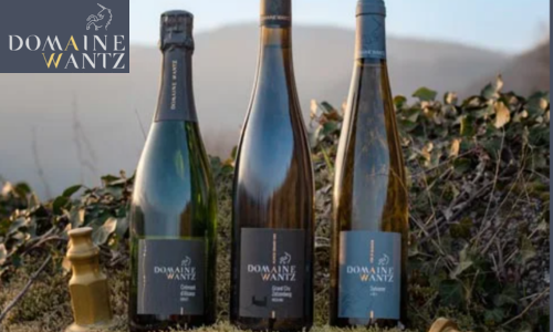 Exposants Rotary (65)